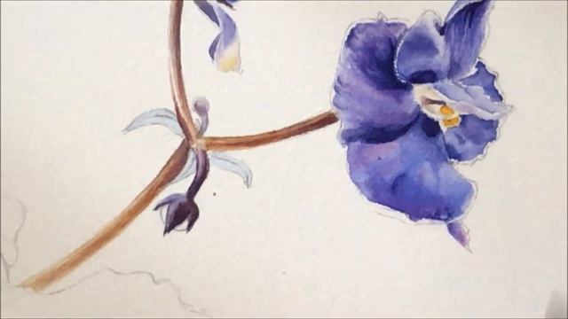 Watercolor African Violet. Speed x64./ Как нарисовать фиалку акварелью(ускоренное видео) смотреть онлайн