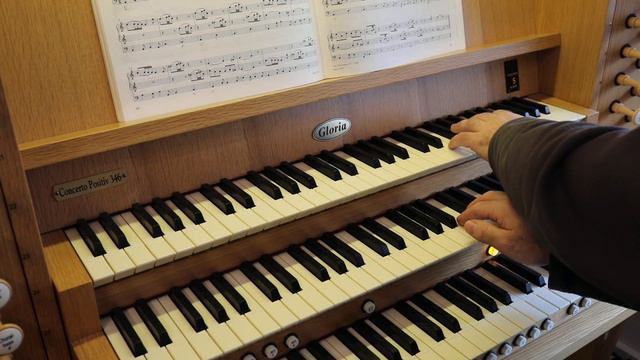 Gottfried Heinrich Stölzel: Trio in a (Orgelmusik) смотреть онлайн