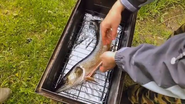 Как коптить рыбу смотреть онлайн