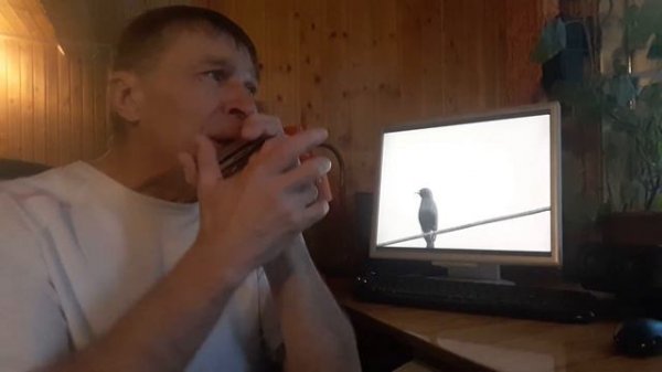 Maria Daines supet singer. I am a young harper.