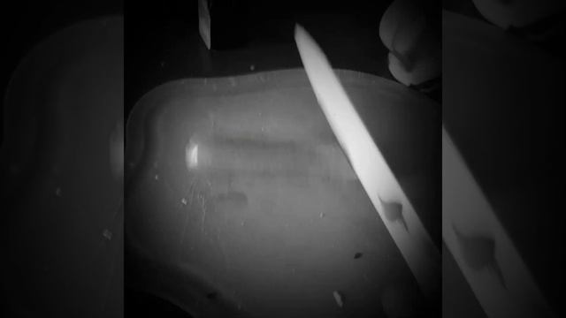 Лос Зетас в деле