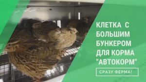 Как оставить птицу без присмотра на несколько дней_ Клетка с большим бункером для корма _Автокорм_!