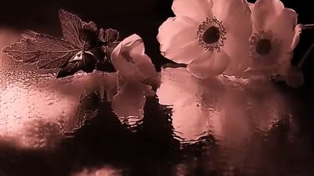 Santa Maria Del Fiore смотреть онлайн