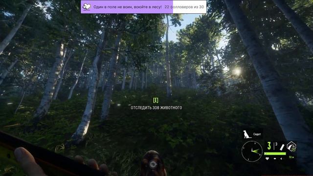 theHunter: Call of the Wild Серебряные вершины. Зарабатываем на ам� смотреть онлайн