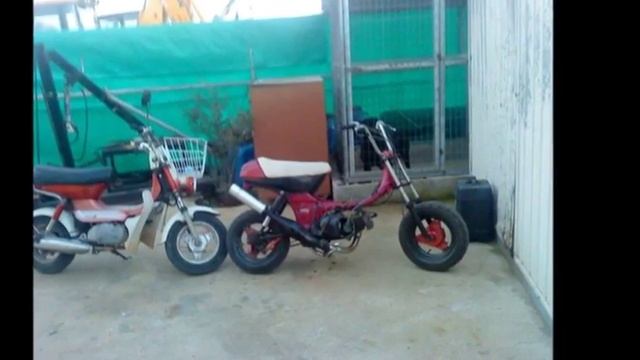 Liopetri sal смотреть онлайн