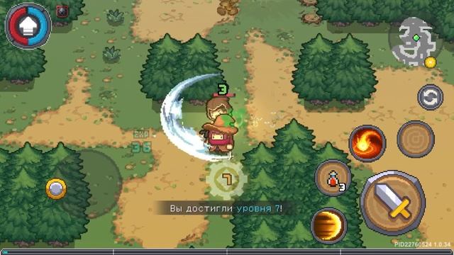 Орден тапка часть 1