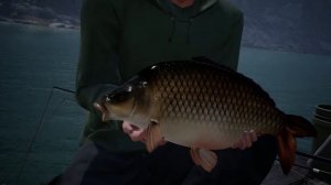 Fishing Sim World - Ловля больших карпов | симулятор рыбалки