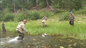 47 серия Учимся Спиннингом правильно Вытаскивать Крупную Рыбу Тайга река