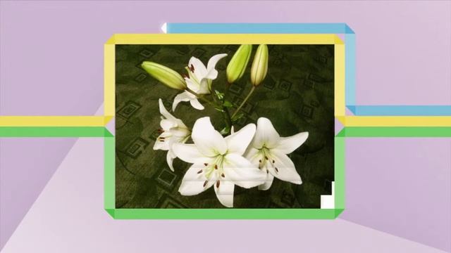 поздравление одинокой женщине смотреть онлайн