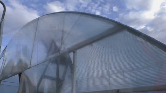 Новая теплица для винограда и помидор . смотреть онлайн