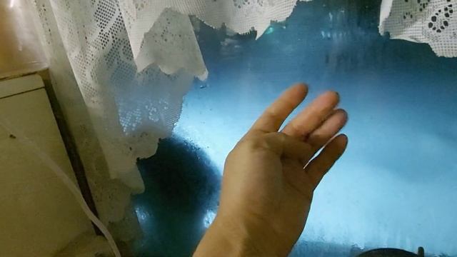 Как приручить дикого котёнка Мама кошка бросила/Зеркало для кузи 30 ч. смотреть онлайн