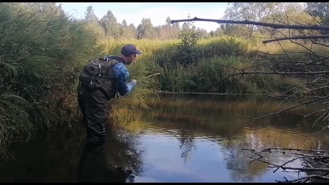 Хариус на малых реках смотреть онлайн