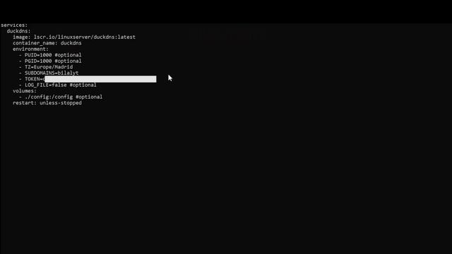 Instalar y configurar DuckDNS en Docker смотреть онлайн