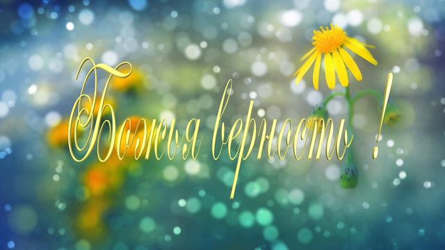 Божья верность смотреть онлайн