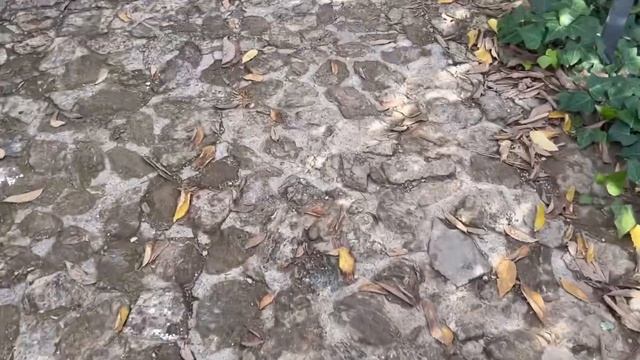 Неделя в Барселоне / Самый красивый город Европы? Barcelona vlog 2022 смотреть онлайн