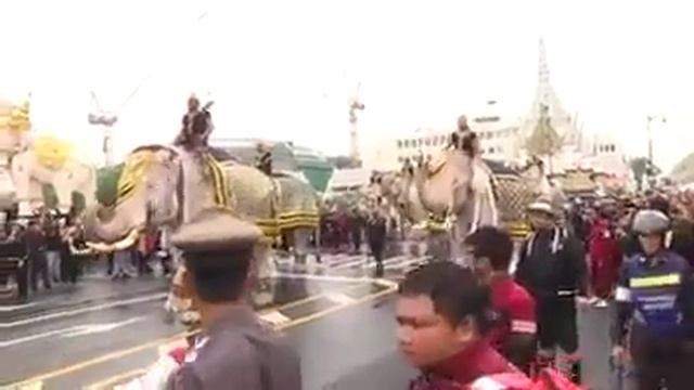 White Royal Elephants Farewell Ceremony King Rama IX смотреть онлайн