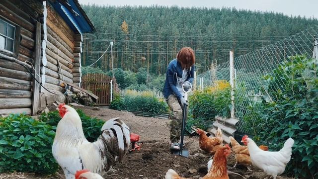 жизнь в деревне, пробуем металлоискатель. смотреть онлайн