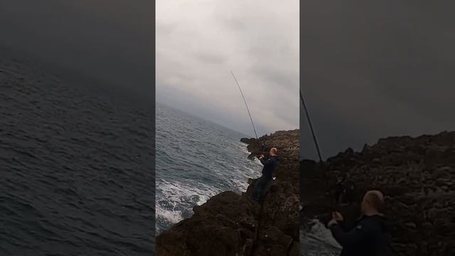 Морская рыбалка на тунца со скал в Черногории. #shorts video смотреть онлайн