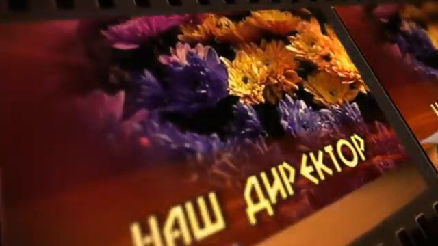 Наш директор футажи для видеомонтажа смотреть онлайн
