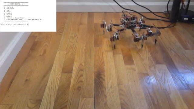 Raspberry Pi Hexapod смотреть онлайн