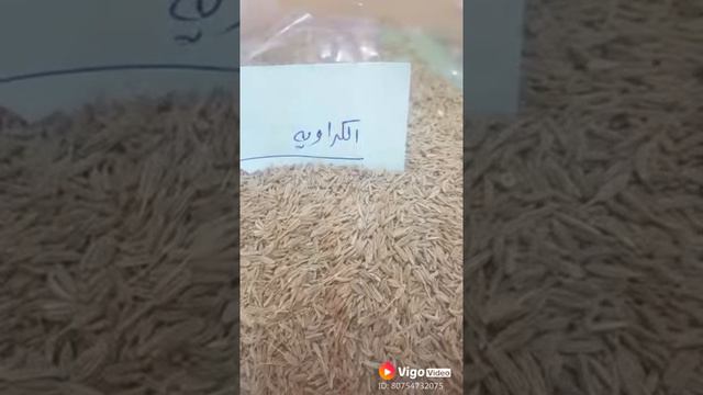 فوائد.الكراوية смотреть онлайн