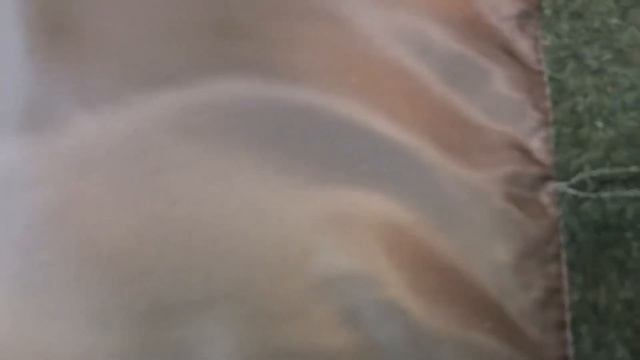 КАК ДОБАВИТЬ ПОДКЛАДКУ на ЖИЛЕТ✂️ ПРОСТАЯ ТЕХНОЛОГИЯ‼️ смотреть онлайн