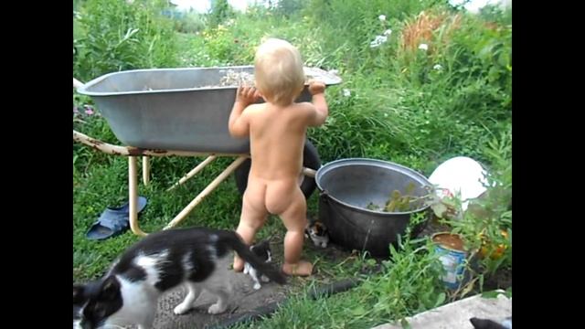 А потом и суп с котом :-)!