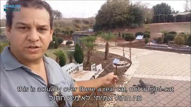 Tours in Israel - Mini Israel miniature park - all of Israel in one place - with guide Michael смотреть онлайн