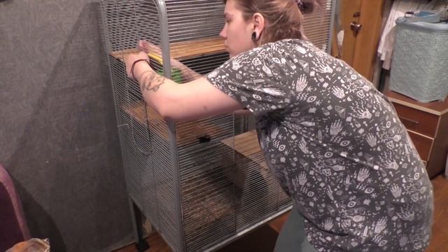 УБОРКА В ОГРОМНОЙ КЛЕТКЕ У КРЫС! смотреть онлайн