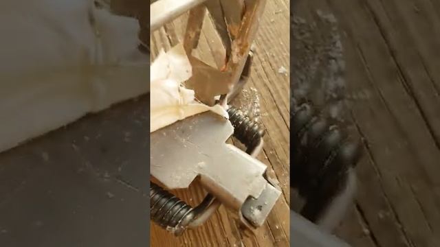 Волк преподнёс урок. Wolf Lesson.mp4