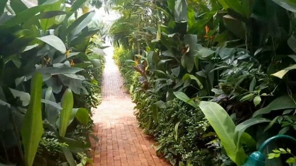 Отель La Veranda Resort