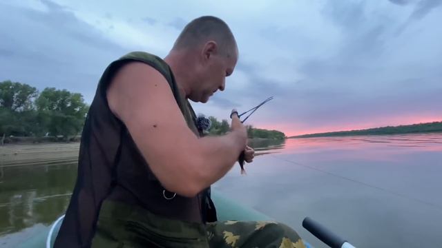 Рыбалка на Ахтубе с «резинкой» на малька. смотреть онлайн