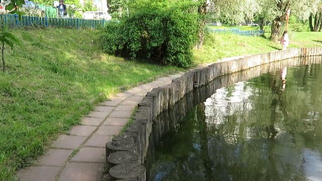 Быково болото. Автор видео Л.В.Саповская