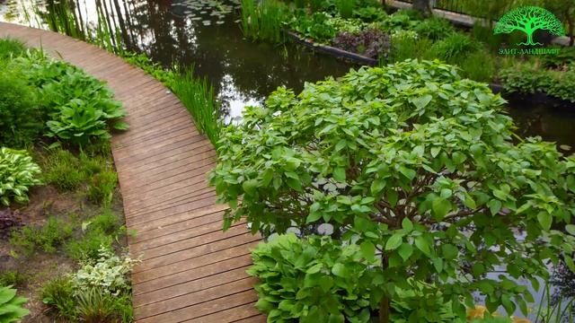 ДОМИК ХОББИТА