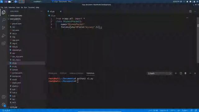 Python scapy module || create your own layer using python scapy смотреть онлайн