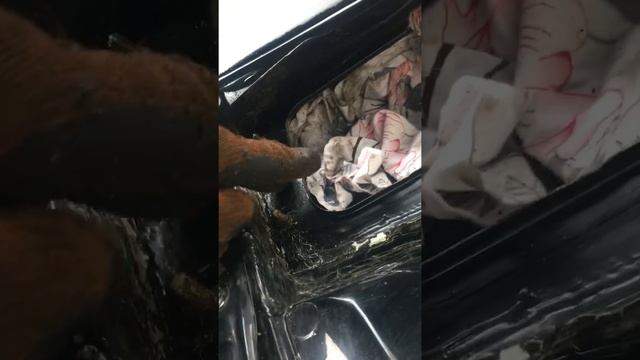 вода в салоне passat b5 + смотреть онлайн