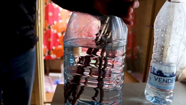 Рассада ВИНОГРАДА на даче, заготовка лозы / How to PLANT GRAPES (first try) смотреть онлайн