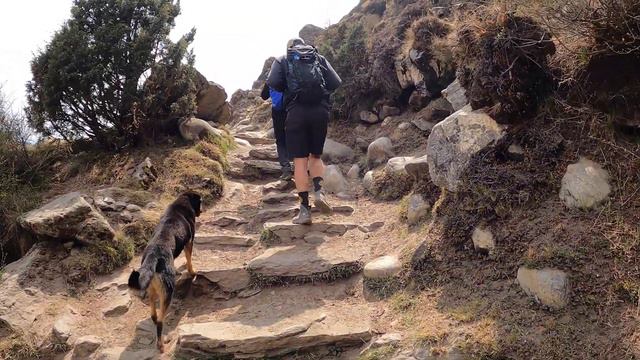 EVEREST BASE CAMP TREK DAY 10 (Hiking 20 Miles in One Day) смотреть онлайн