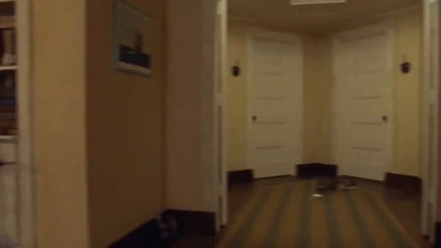 Sufjan Stevens -To Be Alone With You (Moonrise Kingdom) смотреть онлайн