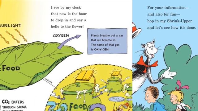 Earth Day Sprouts!, Longue Vue House and Gardens смотреть онлайн