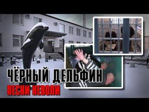 ЧЁРНЫЙ ДЕЛЬФИН | Песни неволи | Русский Шансон