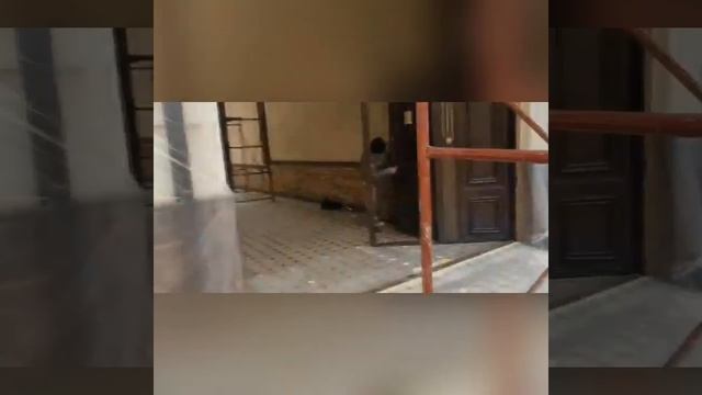 #покрасить ворота#coloring The Gates#darvozalarni Buyoq Qilish#uzbekiston#tojikiston#qozog'iston#md