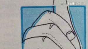 Определи свой характер по форме ногтей