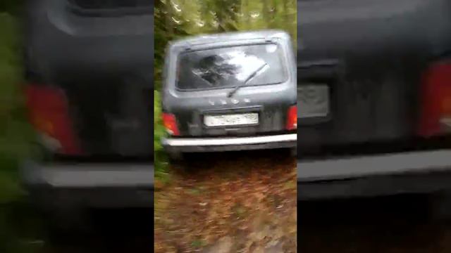 Ладожские шхеры. Лахденпохья. Нива пробирается к берегу. смотреть онлайн