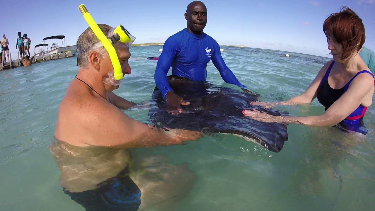 Скаты(1) смотреть онлайн