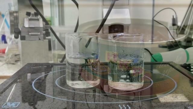 Как определить, какую икру вы купили? / Food Expert смотреть онлайн