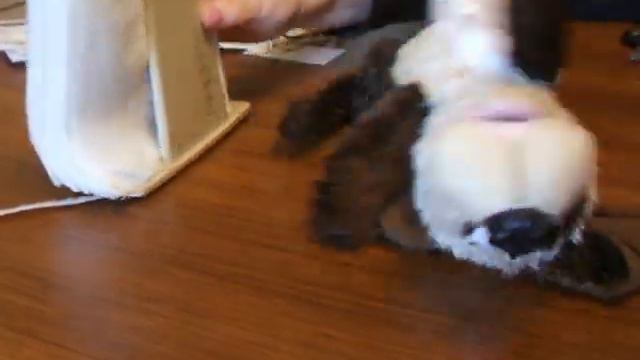Flopsy mopsy смотреть онлайн