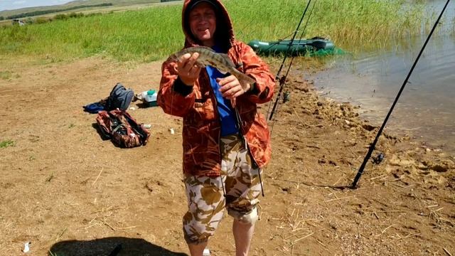 РЫБАЛКА С ПОДПИСЧИКОМ / Ловля СУДАКА на Донку / СУДАК на Нарезку. смотреть онлайн