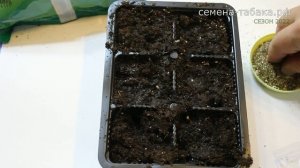 СЕЗОН 2022. #1 ПОСАДКА СЕМЯН ТАБАКА И МАХОРКИ