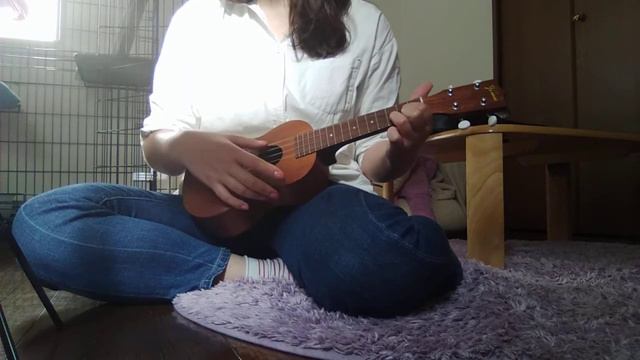 ウクレレで演奏　the Rose